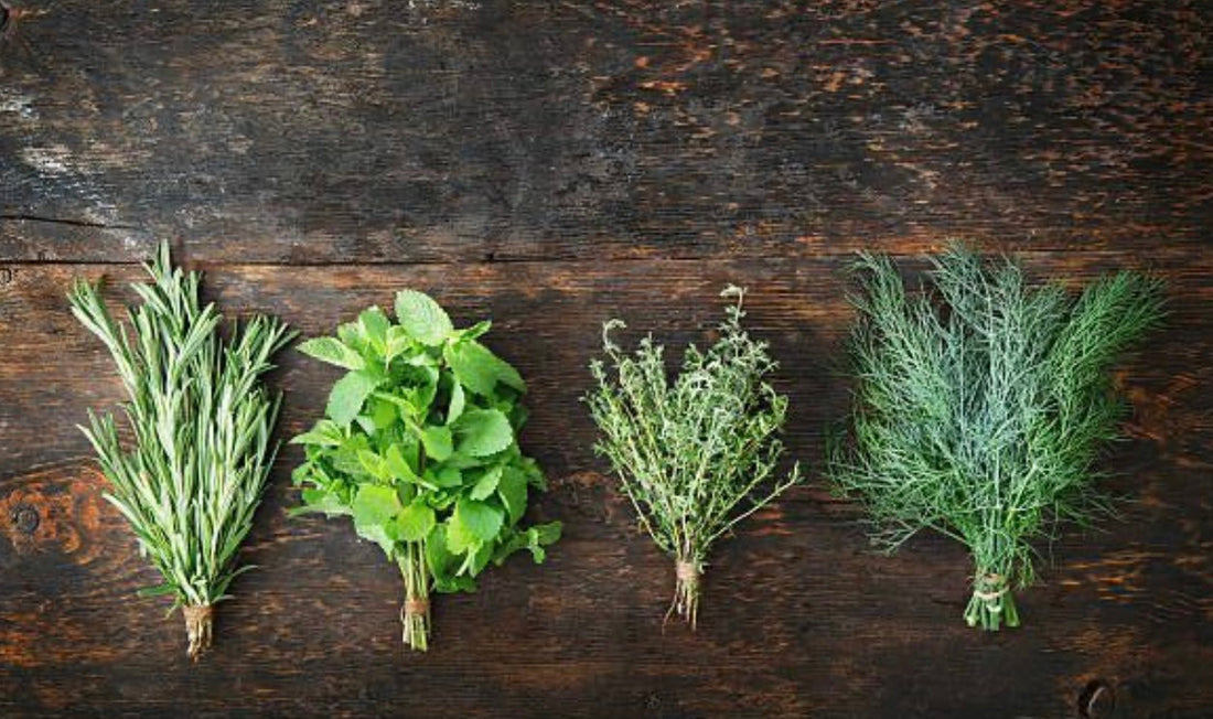 What to Look for in a Seasoning Blend (and What to Avoid)